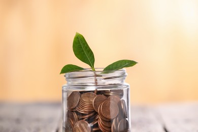 Photo of Investment concept. Glass jar with coins and sprout on table against blurred orange background, closeup