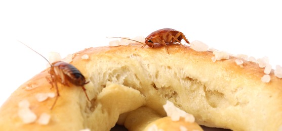 Photo of Cockroaches crawling on salted pretzel against white background