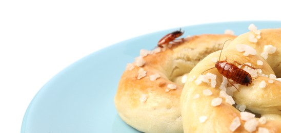 Photo of Cockroaches crawling on salted pretzels against white background