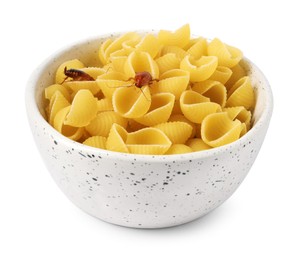 Photo of Cockroaches crawling on pasta in bowl against white background