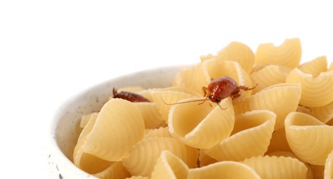 Photo of Cockroaches crawling on pasta in bowl against white background