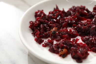 Photo of Cockroaches crawling on plate with grated red beets on light table, closeup