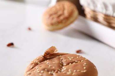 Photo of Cockroaches crawling on buns with sesame seeds on light table, selective focus
