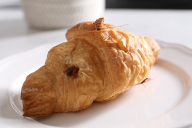 Photo of Cockroaches crawling on croissant on table, closeup