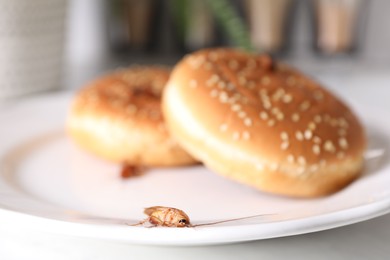 Photo of Cockroaches crawling on plate with buns on table, closeup