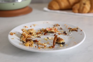 Photo of Cockroaches crawling on plate with food leftovers on light table, closeup
