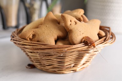 Photo of Cockroach crawling on cookie in wicker basket on white table, closeup