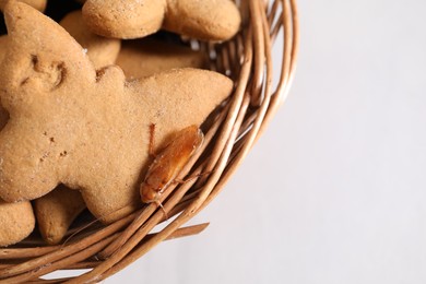Photo of Cockroach crawling on cookie in wicker basket on white table, top view. Space for text