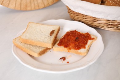 Photo of Cockroaches crawling on bread with adjika sauce on light table, closeup