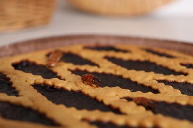 Photo of Cockroaches crawling on pie in kitchen, selective focus