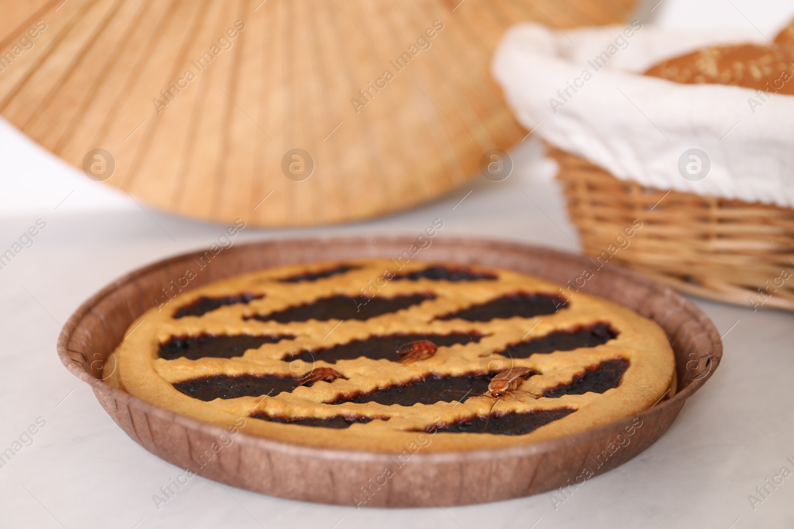 Cockroaches crawling on pie on light table, closeup Photo of Cockroaches crawling on pie on light table, closeup