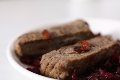 Photo of Cockroaches crawling on roasted beef meat on table, selective focus