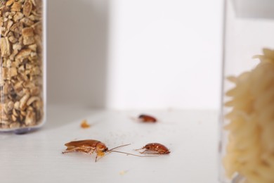 Photo of Cockroaches with food crumbs on the table, selective focus