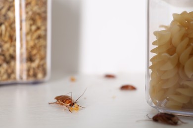 Photo of Cockroaches with food crumbs on the table, selective focus