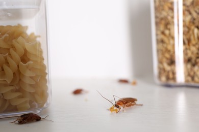 Photo of Cockroaches with food crumbs on the table, selective focus