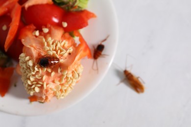 Photo of Cockroaches and food leftovers on light table, top view