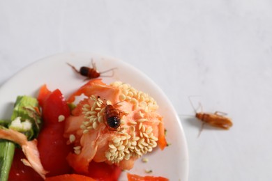 Photo of Cockroaches and food leftovers on light table, top view
