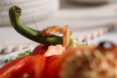Photo of Cockroach crawling on food leftovers on table, closeup