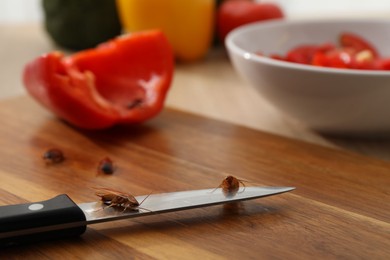 Photo of Cockroaches, knife and cut pepper on table, closeup