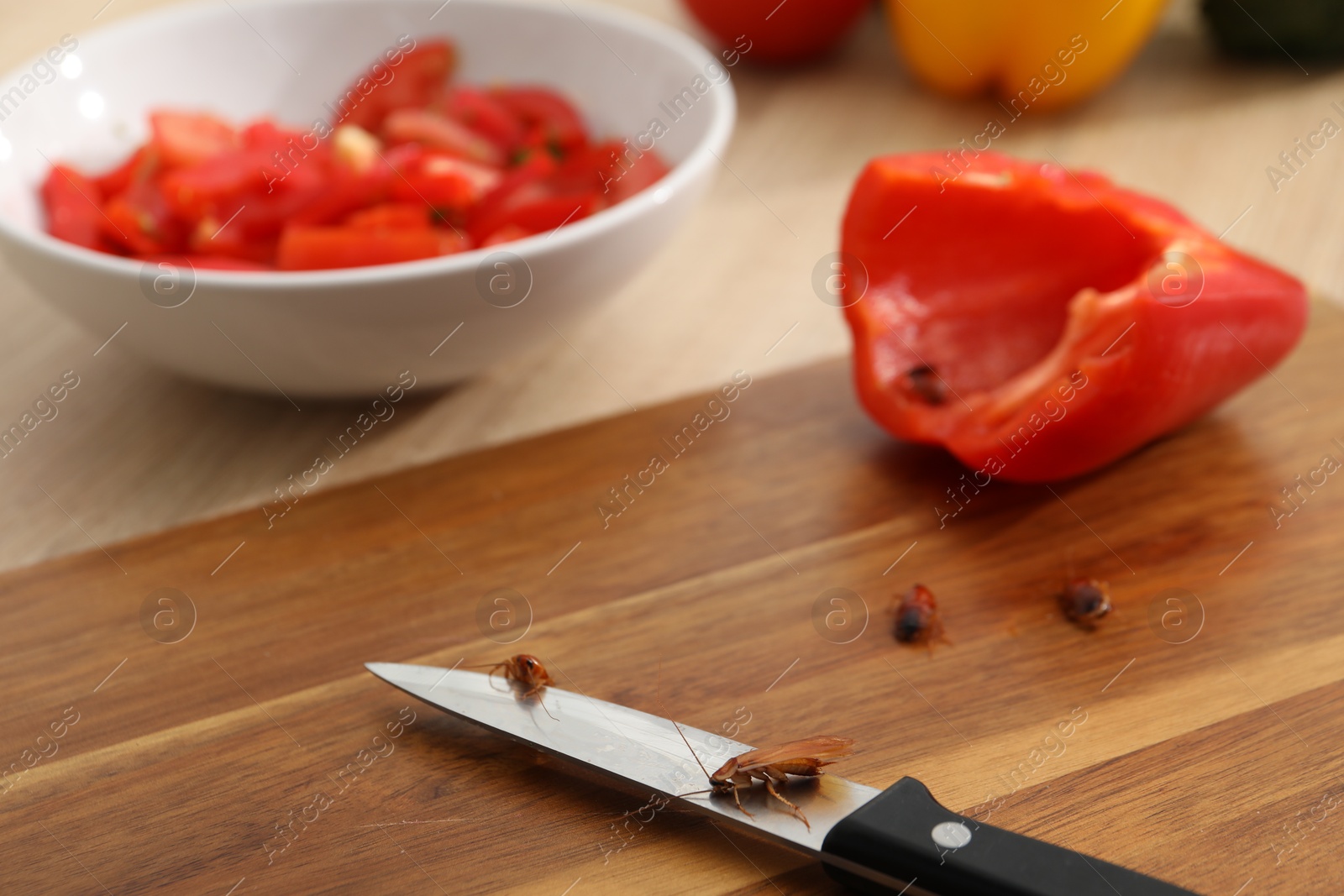 Cockroaches, knife and cut pepper on table, closeup Photo of Cockroaches, knife and cut pepper on table, closeup