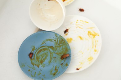 Photo of Cockroaches crawling on dirty dishes in kitchen sink, top view