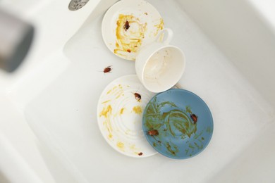 Photo of Cockroaches crawling on dirty dishes in kitchen sink, top view