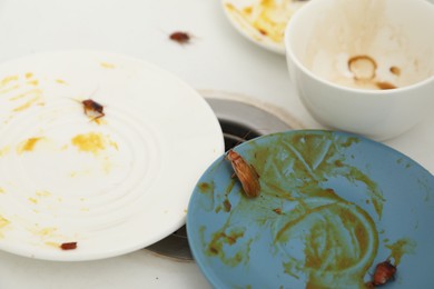 Photo of Cockroaches crawling on dirty dishes in kitchen sink, closeup