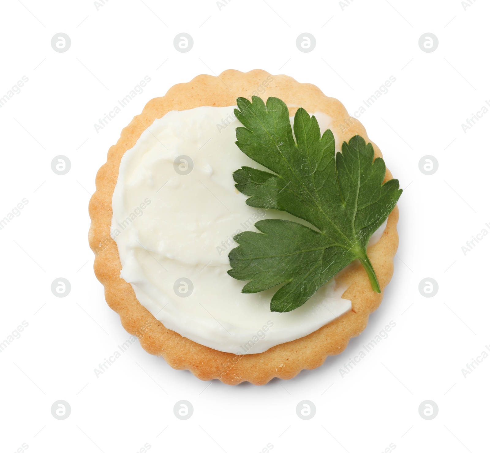 One tasty cracker with cream cheese and parsley isolated on white, top view Photo of One tasty cracker with cream cheese and parsley isolated on white, top view