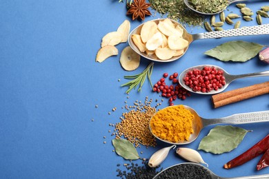 Photo of Different aromatic spices on blue background, flat lay. Space for text