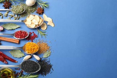 Photo of Different aromatic spices on blue background, flat lay. Space for text