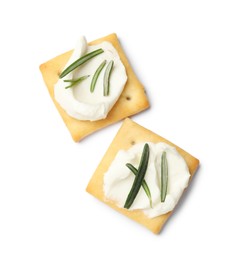 Photo of Tasty crackers with cream cheese and rosemary isolated on white, top view