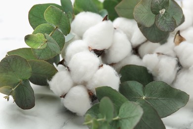 Photo of Eucalyptus branches and cotton flowers on white marble table, closeup
