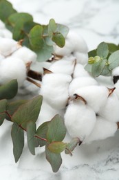 Photo of Eucalyptus branches and cotton flowers on white marble table, closeup