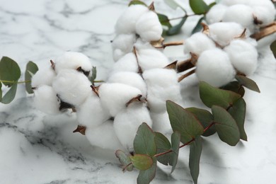 Photo of Eucalyptus branches and cotton flowers on white marble table, closeup
