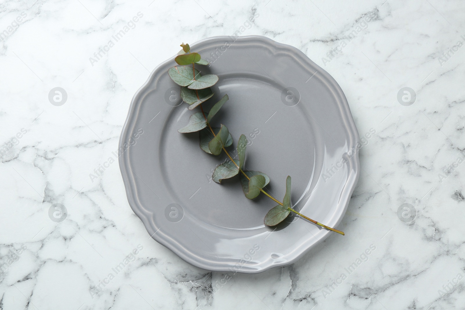 Stylish plate and eucalyptus branch on white marble table, top view Photo of Stylish plate and eucalyptus branch on white marble table, top view