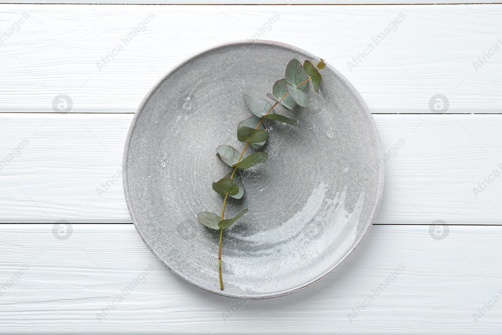 Stylish plate and eucalyptus branch on white wooden table, top view Photo of Stylish plate and eucalyptus branch on white wooden table, top view