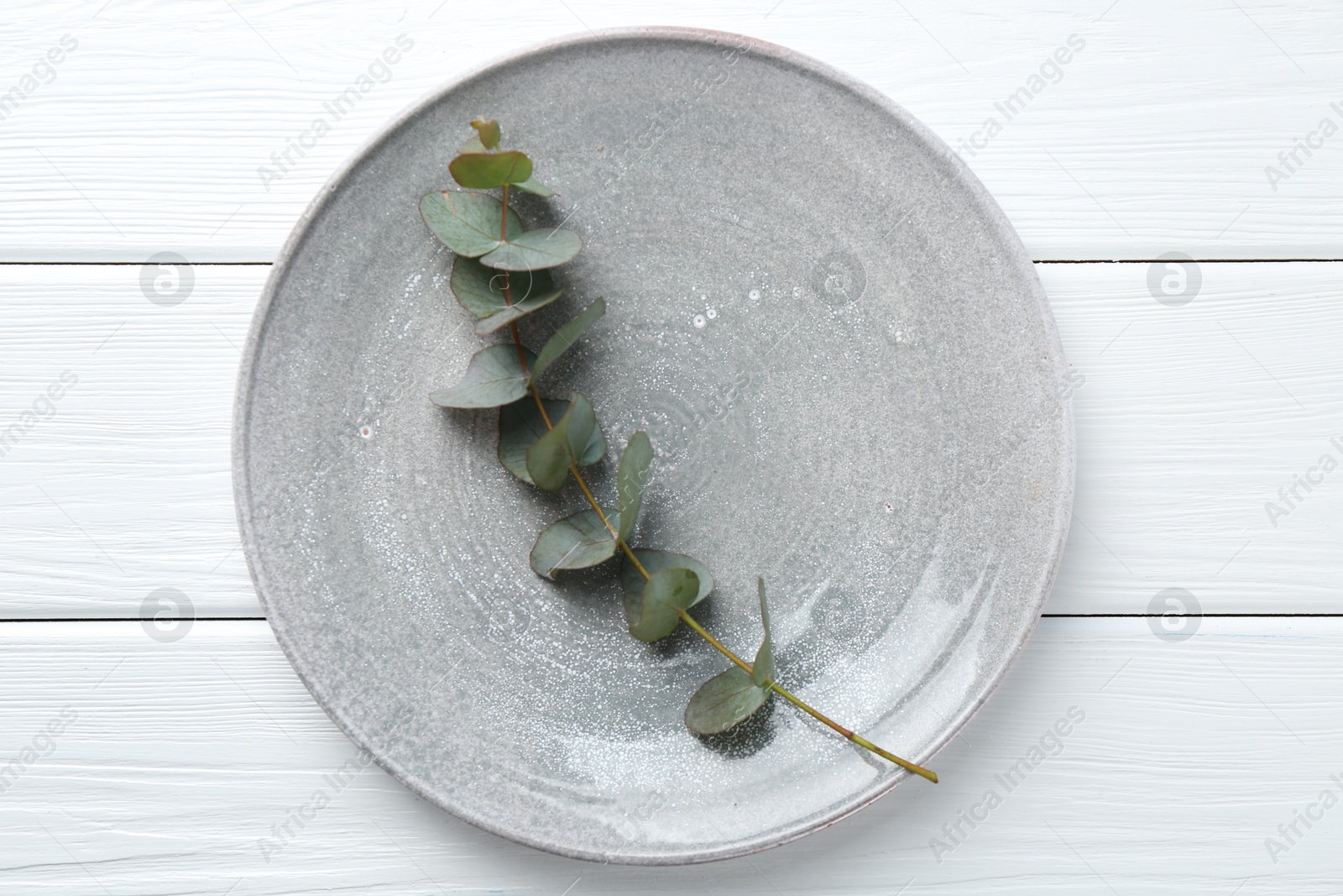 Stylish plate and eucalyptus branch on white wooden table, top view Photo of Stylish plate and eucalyptus branch on white wooden table, top view