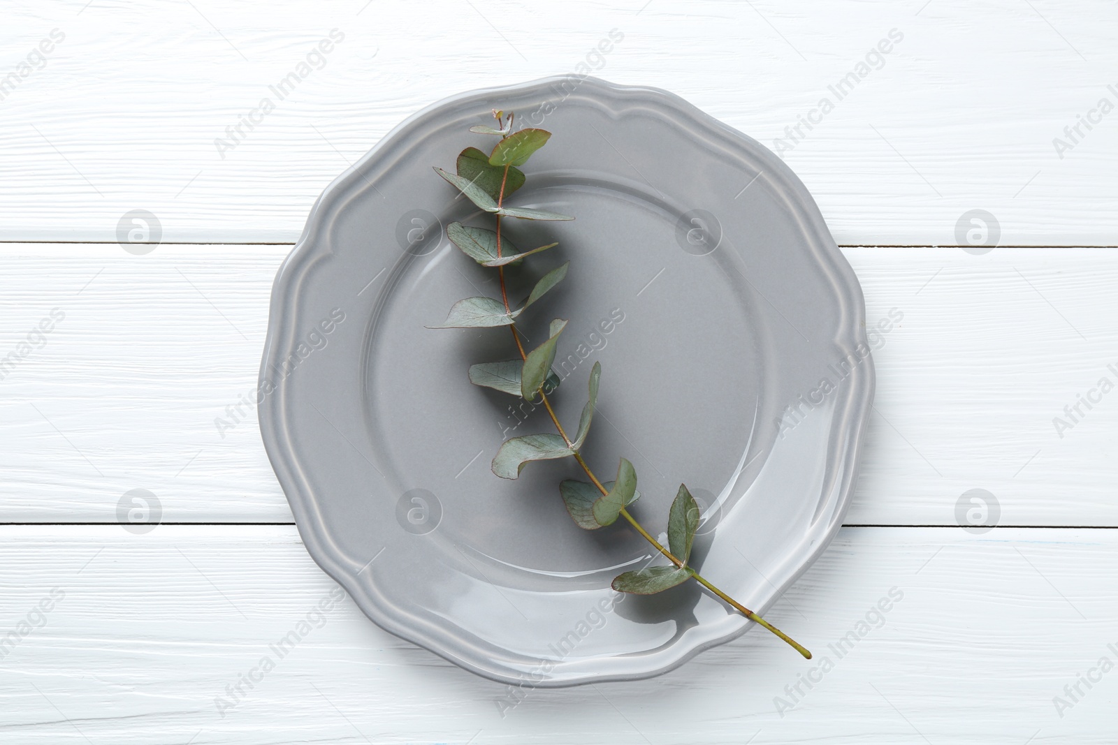 Stylish plate and eucalyptus branch on white wooden table, top view Photo of Stylish plate and eucalyptus branch on white wooden table, top view