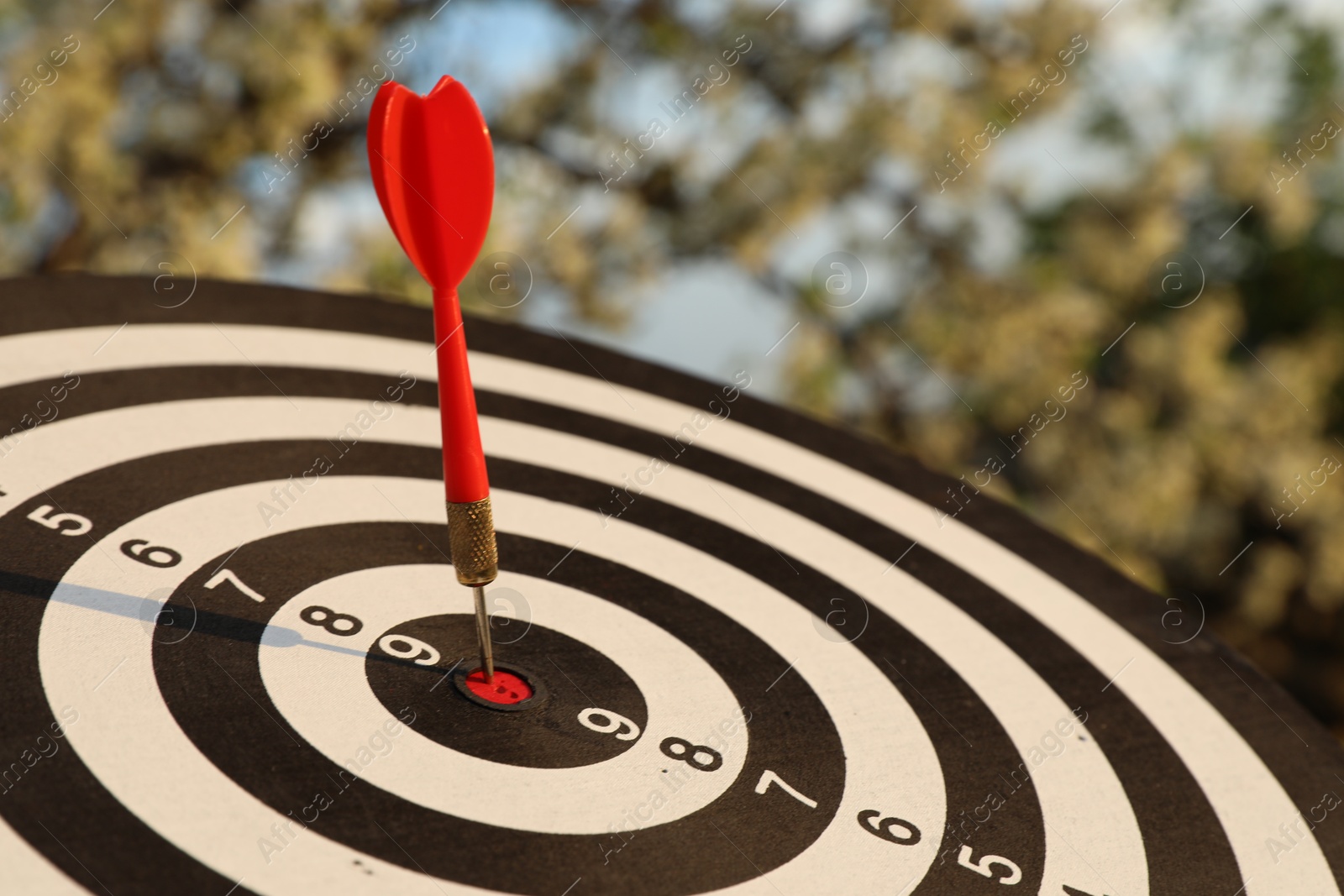 Targeting. Dart board with arrow outdoors, closeup Photo of Targeting. Dart board with arrow outdoors, closeup