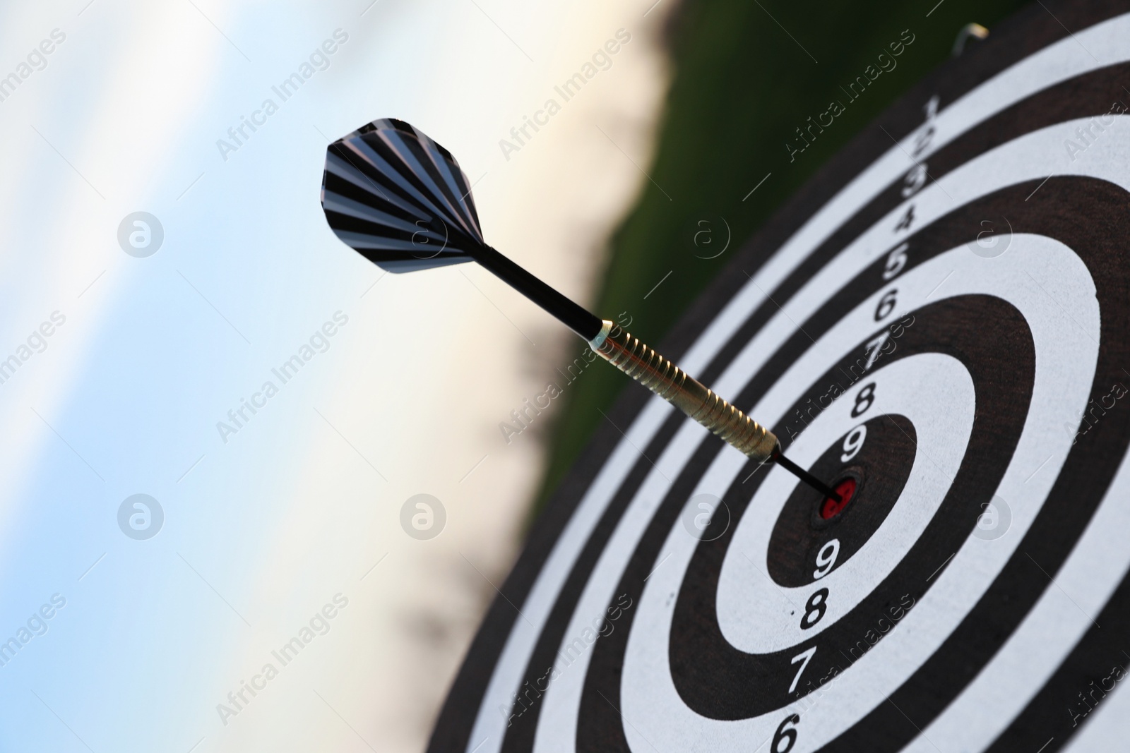 Targeting. Dart board with arrow outdoors, closeup Photo of Targeting. Dart board with arrow outdoors, closeup