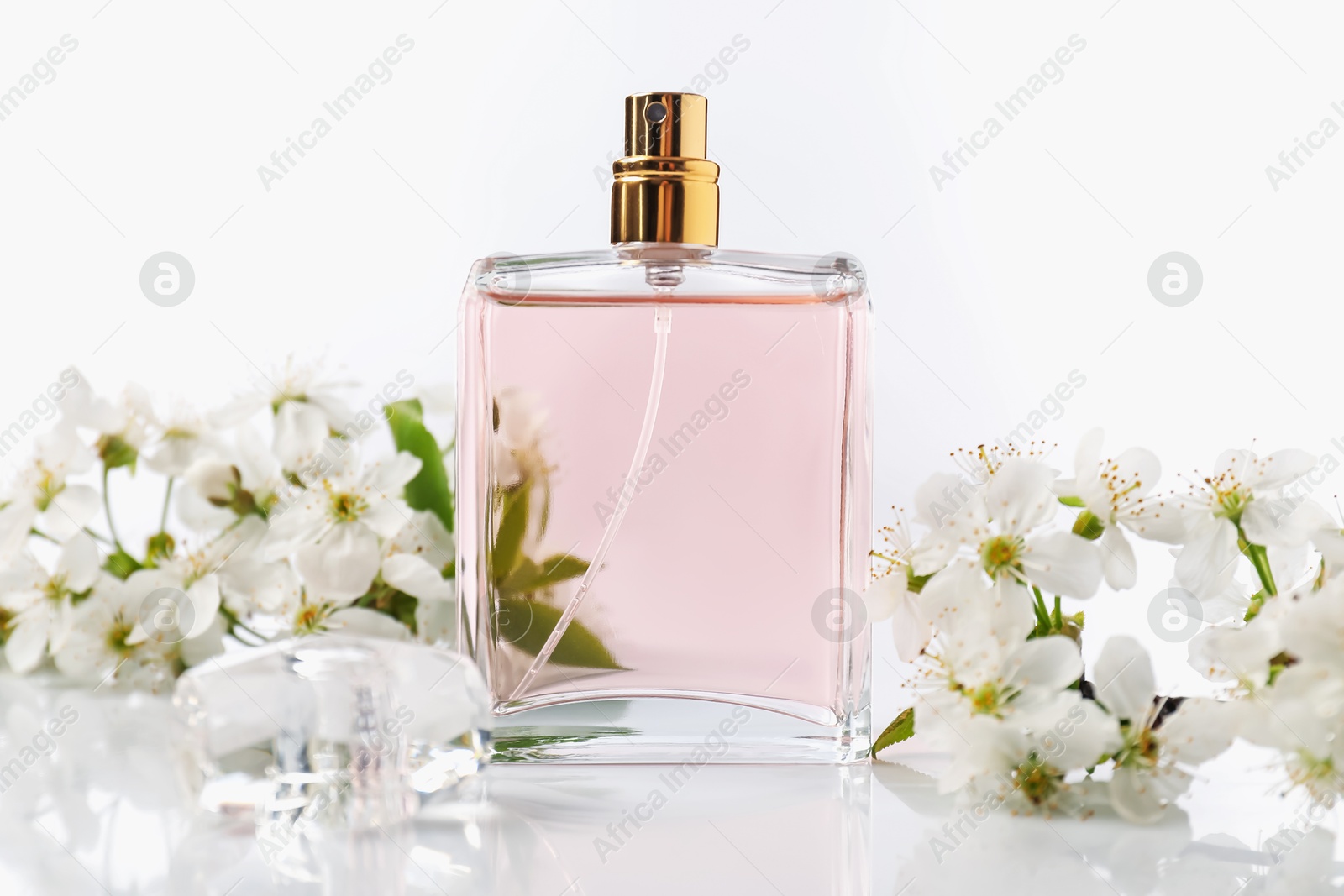 Aromatic perfume and beautiful flowers on white background, closeup Photo of Aromatic perfume and beautiful flowers on white background, closeup