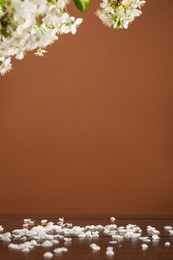 Photo of Branch of beautiful flowers and petals on wooden table against brown background, closeup. Space for design
