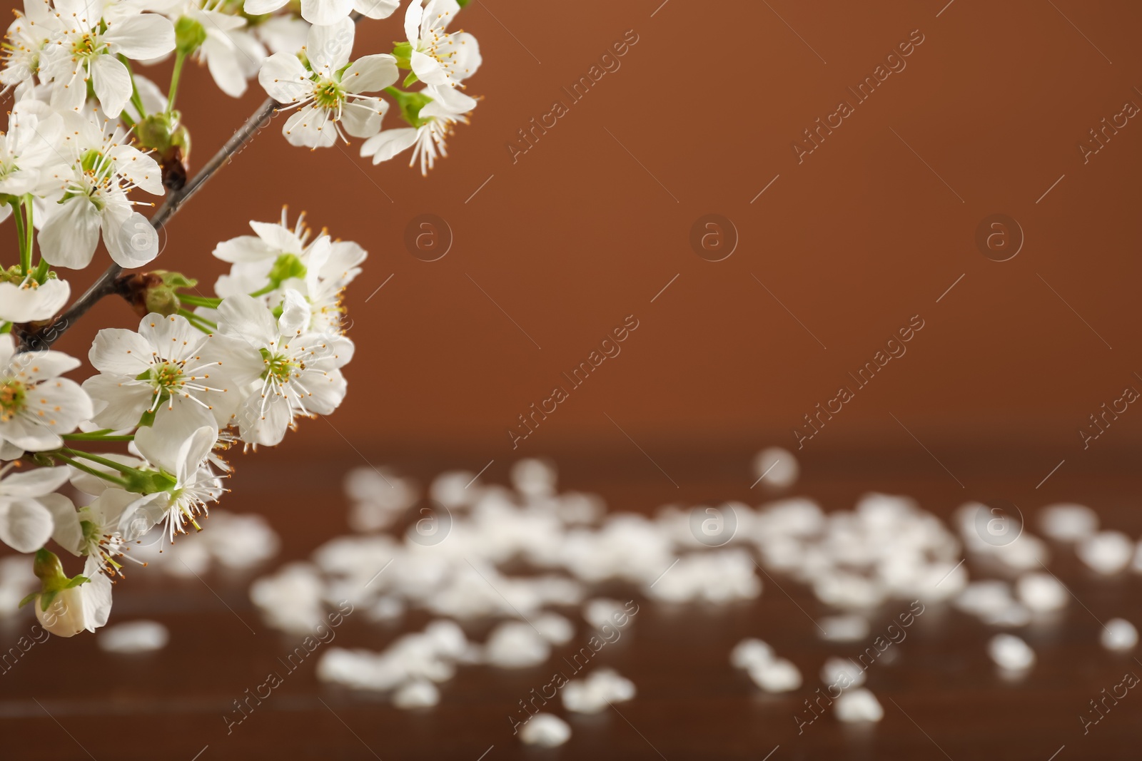 Branch of beautiful flowers on wooden table against brown background, closeup. Space for design Photo of Branch of beautiful flowers on wooden table against brown background, closeup. Space for design