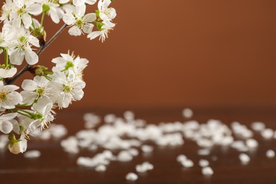 Photo of Branch of beautiful flowers on wooden table against brown background, closeup. Space for design
