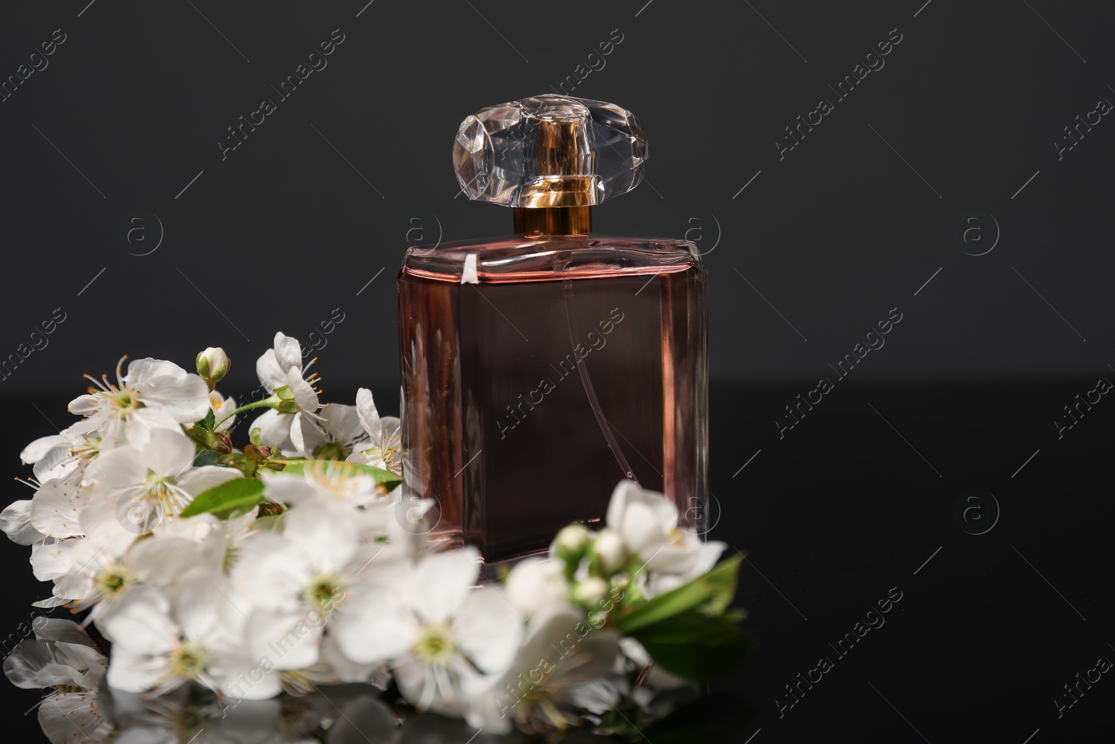 Aromatic perfume and beautiful flowers on black mirror surface, closeup. Space for text Photo of Aromatic perfume and beautiful flowers on black mirror surface, closeup. Space for text