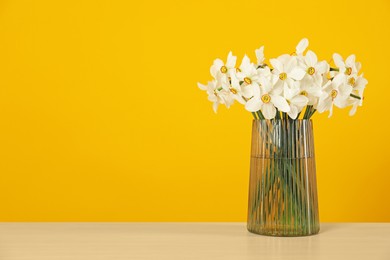 Photo of Beautiful daffodils in vase on table against yellow background. Space for text