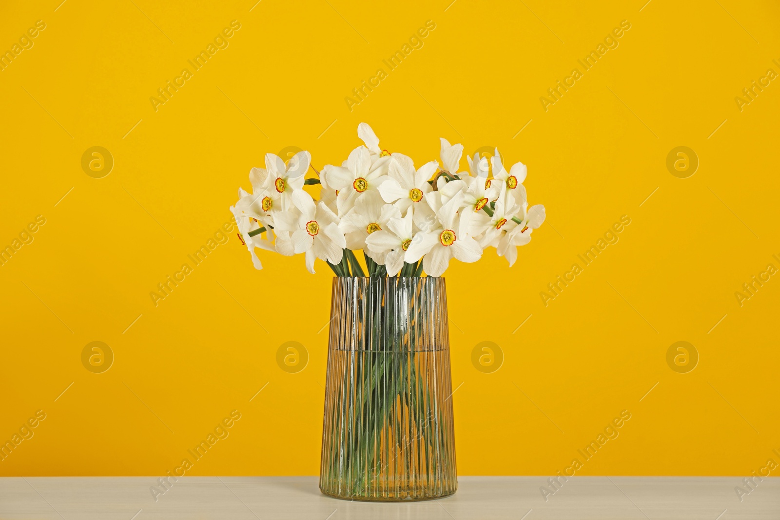 Beautiful daffodils in vase on table against yellow background Photo of Beautiful daffodils in vase on table against yellow background