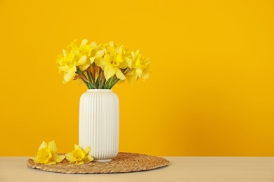 Photo of Beautiful daffodils in vase on table against yellow background. Space for text