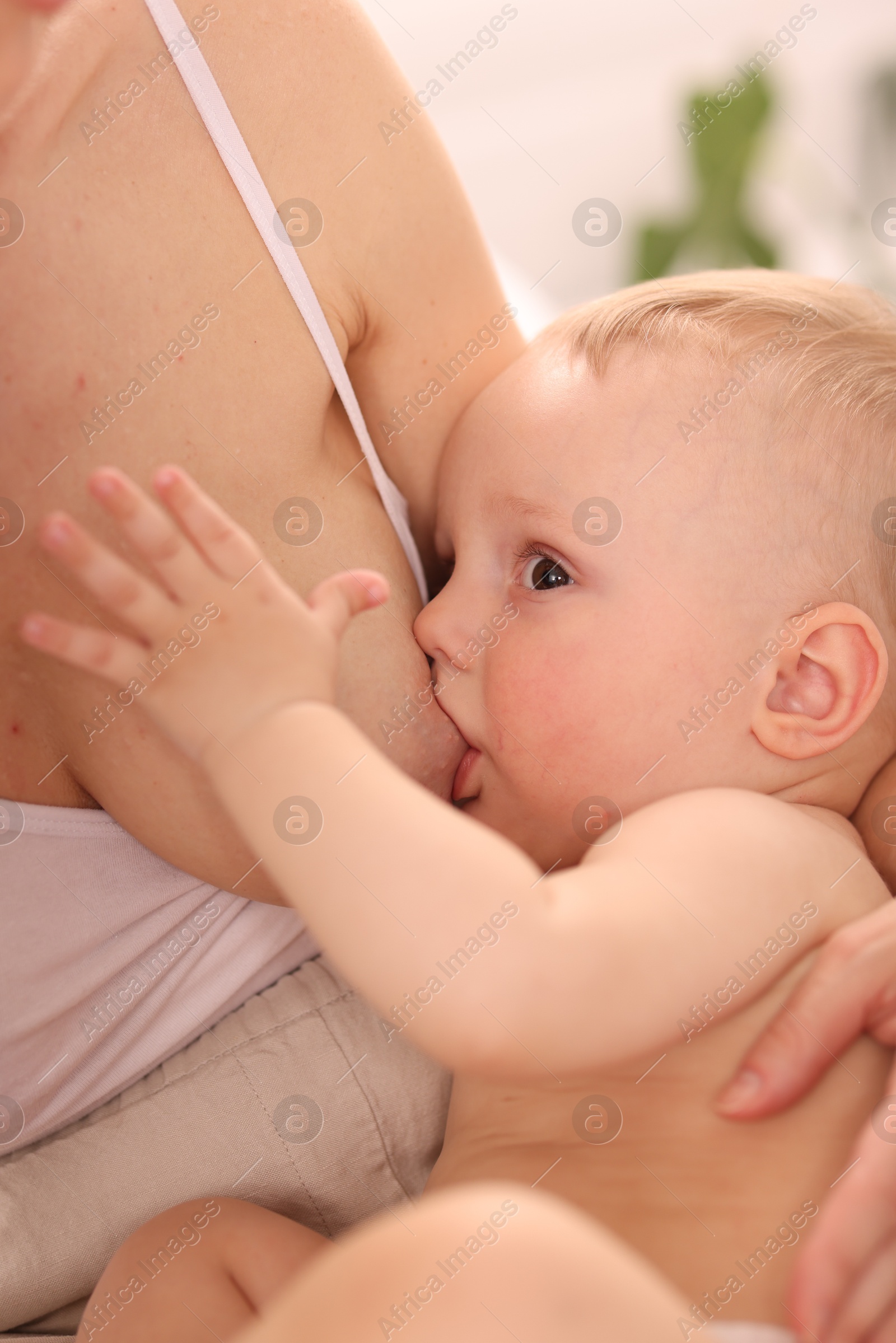 Mother breastfeeding her little baby indoors, closeup Photo of Mother breastfeeding her little baby indoors, closeup