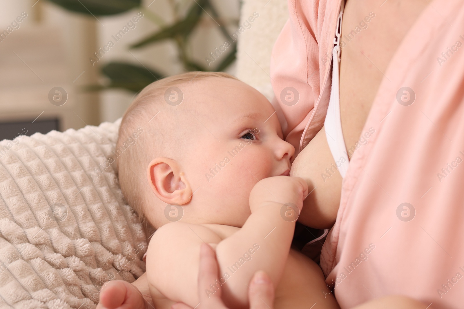 Mother breastfeeding her little baby indoors, closeup Photo of Mother breastfeeding her little baby indoors, closeup